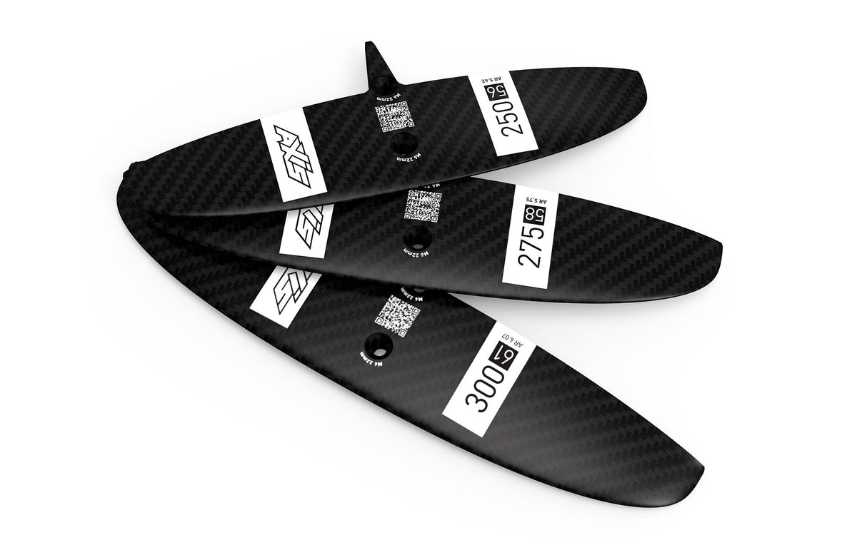 300 Progressive Carbon Rear Wing