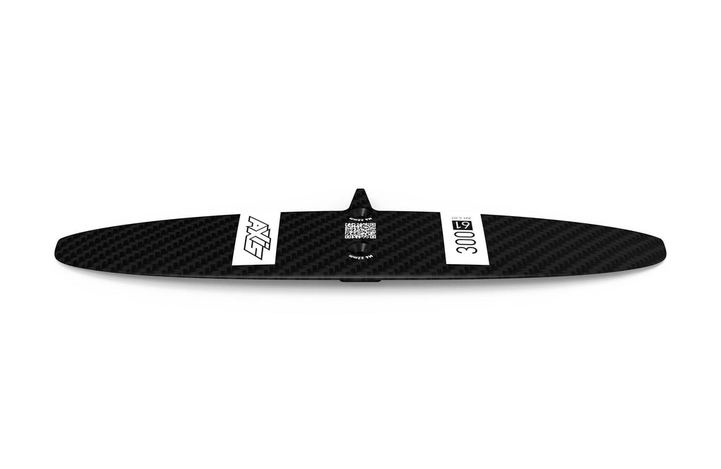 300 Progressive Carbon Rear Wing