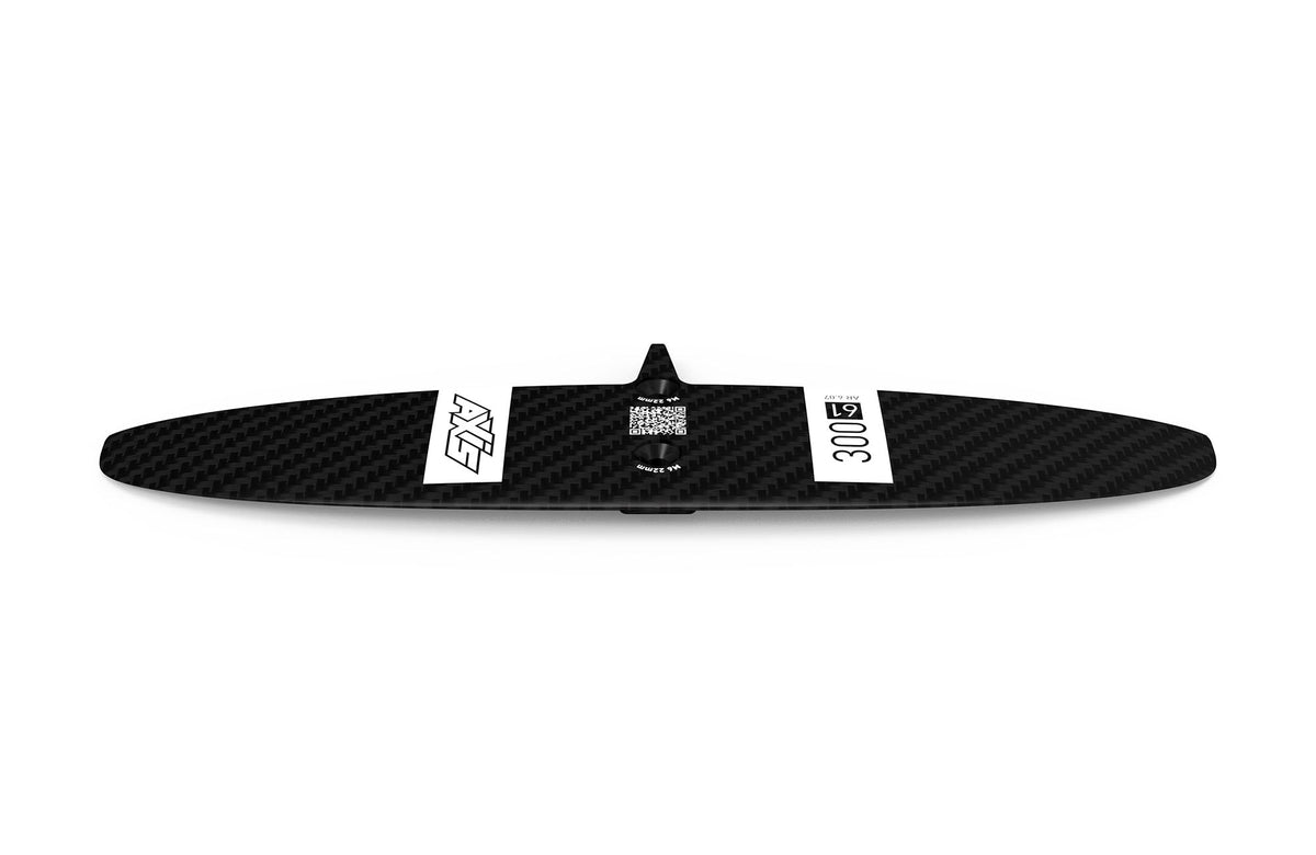 300 Progressive Carbon Rear Wing