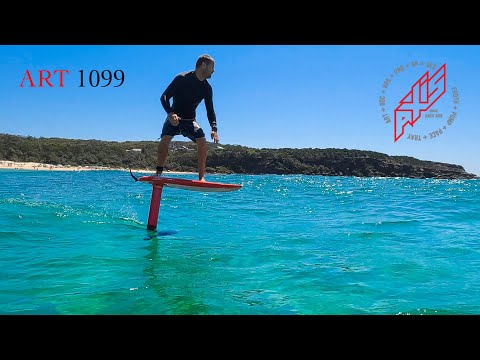 ART 1099 Carbon Hydrofoil Wing